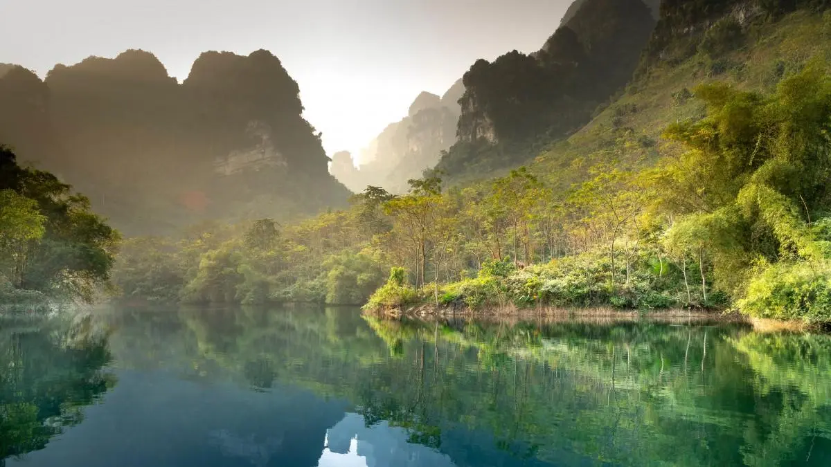 可靠性独特智能